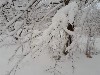  ,  -6