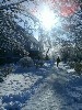 ,  -5