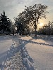  ,  -5